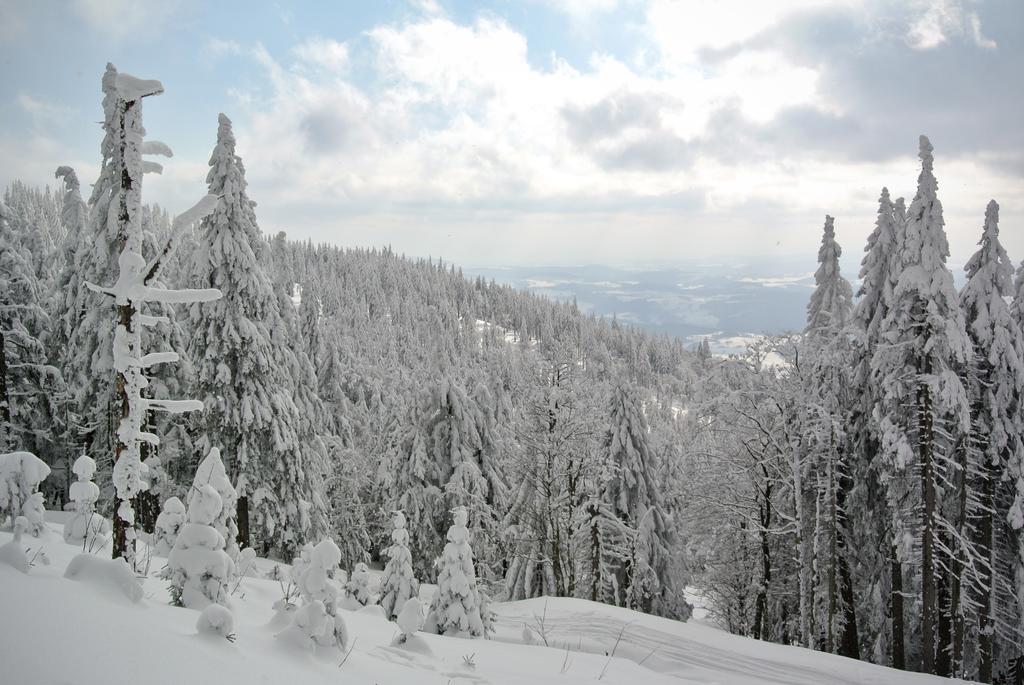 Chalupa Na Peci Želnava Quarto foto